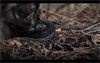 Lost Camo Videos When You Need To Be Lost When You Want To Be Lost